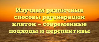 Изучаем различные способы регенерации клеток — современные подходы и перспективы