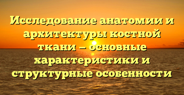 Исследование анатомии и архитектуры костной ткани — основные характеристики и структурные особенности