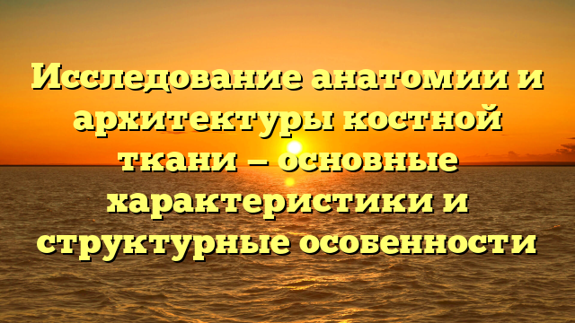 Исследование анатомии и архитектуры костной ткани — основные характеристики и структурные особенности