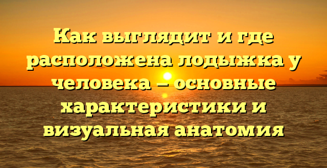 Как выглядит и где расположена лодыжка у человека — основные характеристики и визуальная анатомия