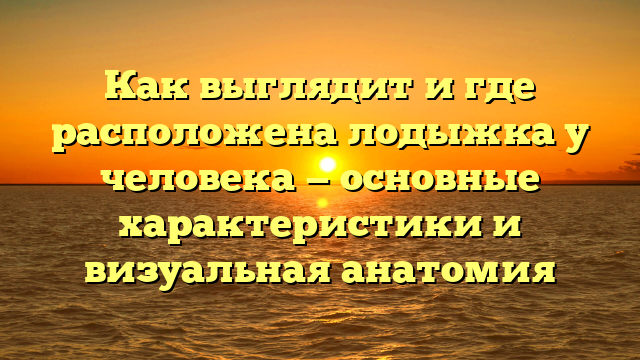 Как выглядит и где расположена лодыжка у человека — основные характеристики и визуальная анатомия