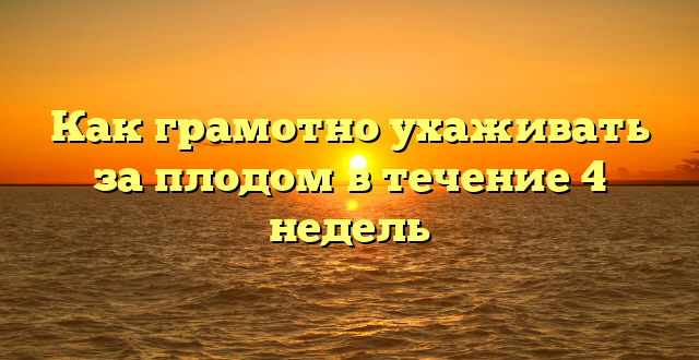 Как грамотно ухаживать за плодом в течение 4 недель