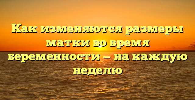 Как изменяются размеры матки во время беременности — на каждую неделю