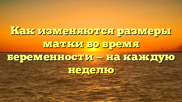 Как изменяются размеры матки во время беременности — на каждую неделю