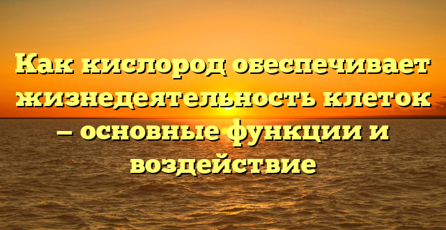 Как кислород обеспечивает жизнедеятельность клеток — основные функции и воздействие