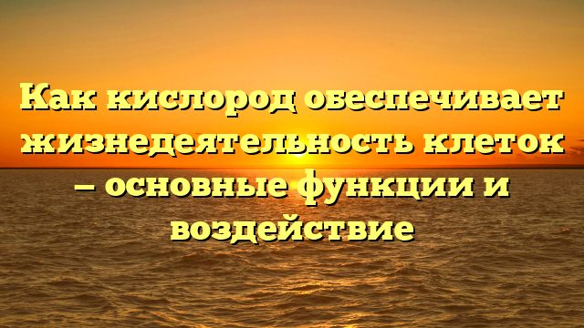 Как кислород обеспечивает жизнедеятельность клеток — основные функции и воздействие