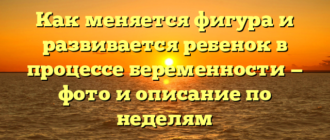 Как меняется фигура и развивается ребенок в процессе беременности — фото и описание по неделям