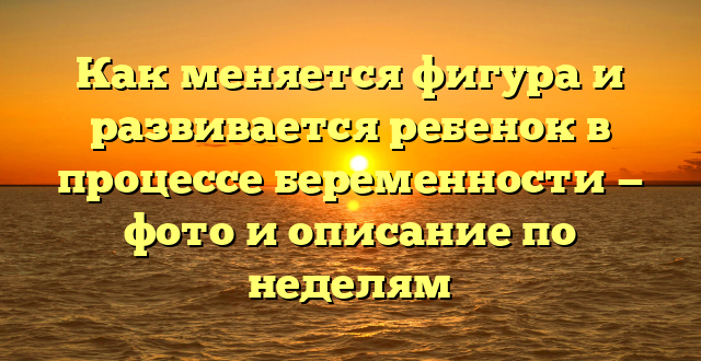 Как меняется фигура и развивается ребенок в процессе беременности — фото и описание по неделям