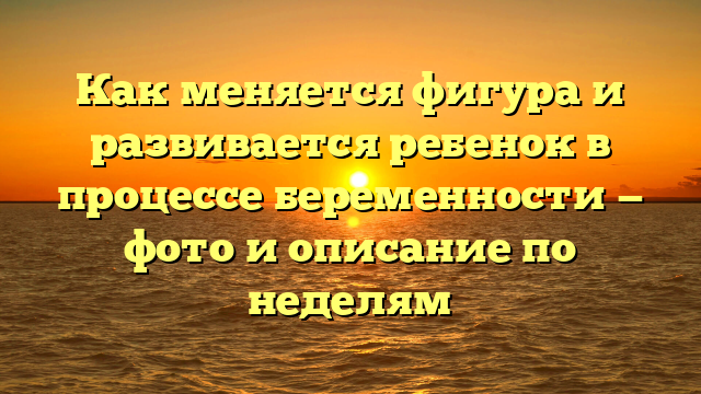 Как меняется фигура и развивается ребенок в процессе беременности — фото и описание по неделям