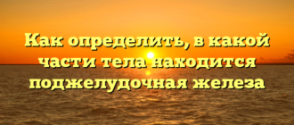 Как определить, в какой части тела находится поджелудочная железа