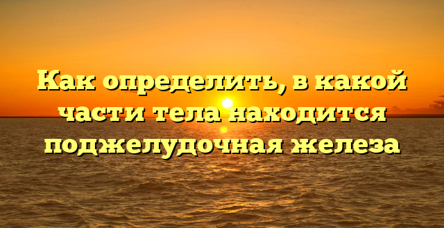 Как определить, в какой части тела находится поджелудочная железа