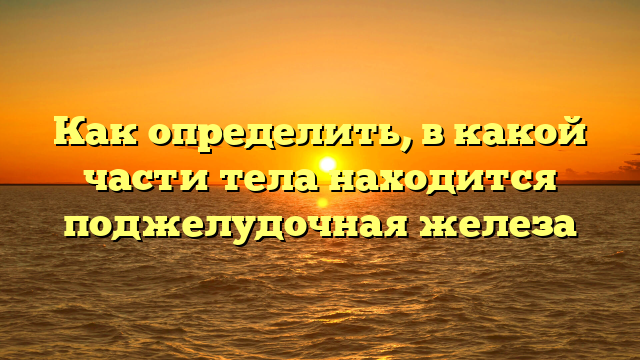 Как определить, в какой части тела находится поджелудочная железа