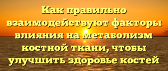 Как правильно взаимодействуют факторы влияния на метаболизм костной ткани, чтобы улучшить здоровье костей