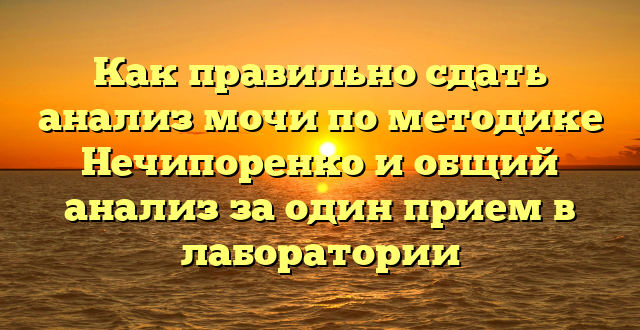 Как правильно сдать анализ мочи по методике Нечипоренко и общий анализ за один прием в лаборатории