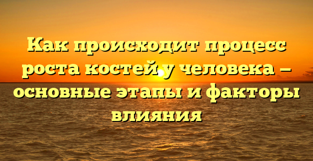 Как происходит процесс роста костей у человека — основные этапы и факторы влияния