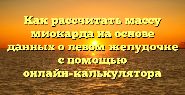 Как рассчитать массу миокарда на основе данных о левом желудочке с помощью онлайн-калькулятора