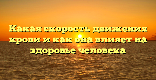 Какая скорость движения крови и как она влияет на здоровье человека