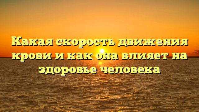 Какая скорость движения крови и как она влияет на здоровье человека