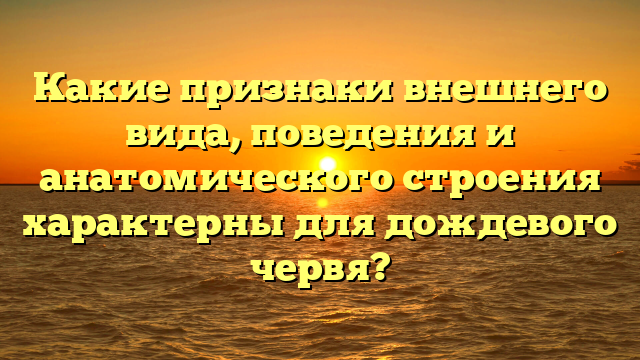 Какие признаки внешнего вида, поведения и анатомического строения характерны для дождевого червя?