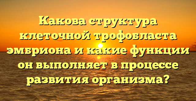 Какова структура клеточной трофобласта эмбриона и какие функции он выполняет в процессе развития организма?