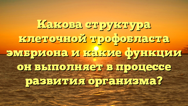 Какова структура клеточной трофобласта эмбриона и какие функции он выполняет в процессе развития организма?