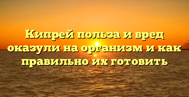 Кипрей польза и вред оказули на организм и как правильно их готовить