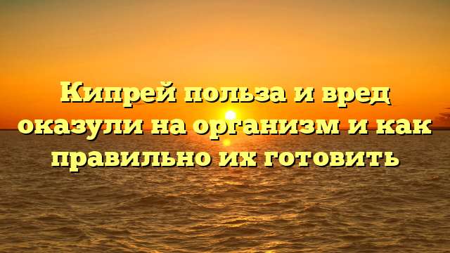 Кипрей польза и вред оказули на организм и как правильно их готовить