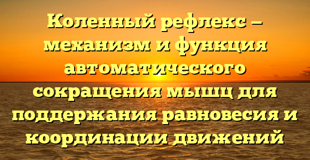 Коленный рефлекс — механизм и функция автоматического сокращения мышц для поддержания равновесия и координации движений