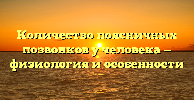 Количество поясничных позвонков у человека — физиология и особенности