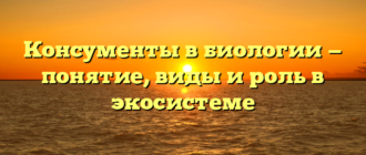 Консументы в биологии — понятие, виды и роль в экосистеме