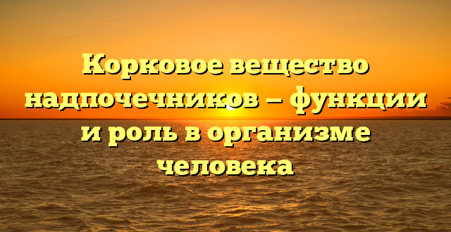 Корковое вещество надпочечников — функции и роль в организме человека