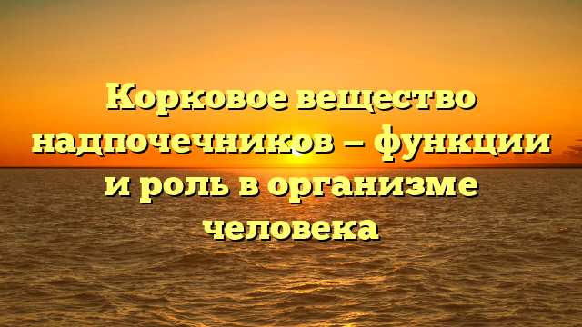 Корковое вещество надпочечников — функции и роль в организме человека