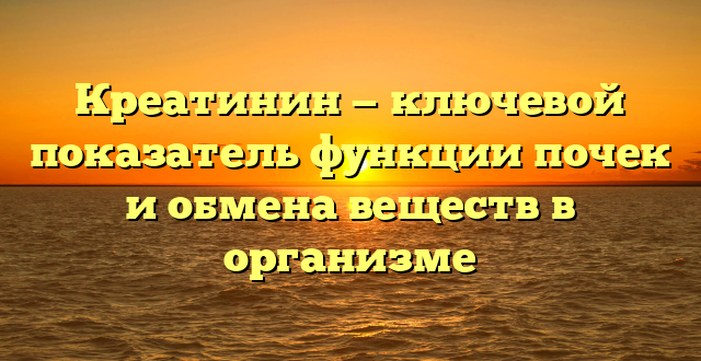 Креатинин — ключевой показатель функции почек и обмена веществ в организме