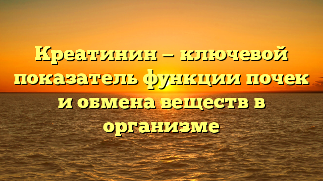 Креатинин — ключевой показатель функции почек и обмена веществ в организме