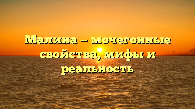 Малина — мочегонные свойства, мифы и реальность