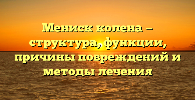 Мениск колена — структура, функции, причины повреждений и методы лечения