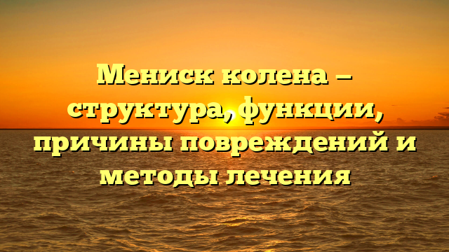 Мениск колена — структура, функции, причины повреждений и методы лечения