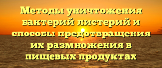 Методы уничтожения бактерий листерий и способы предотвращения их размножения в пищевых продуктах