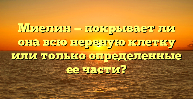 Миелин — покрывает ли она всю нервную клетку или только определенные ее части?