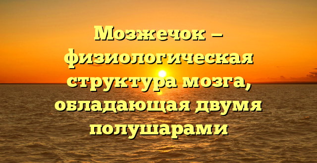 Мозжечок — физиологическая структура мозга, обладающая двумя полушарами