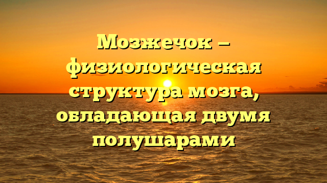 Мозжечок — физиологическая структура мозга, обладающая двумя полушарами