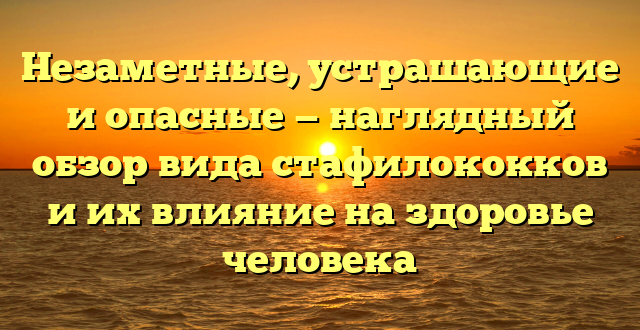 Незаметные, устрашающие и опасные — наглядный обзор вида стафилококков и их влияние на здоровье человека