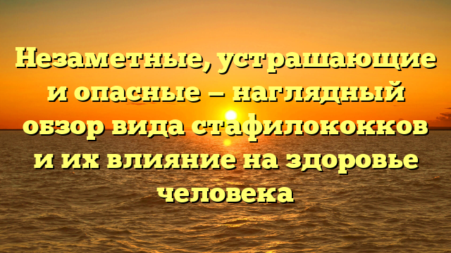 Незаметные, устрашающие и опасные — наглядный обзор вида стафилококков и их влияние на здоровье человека