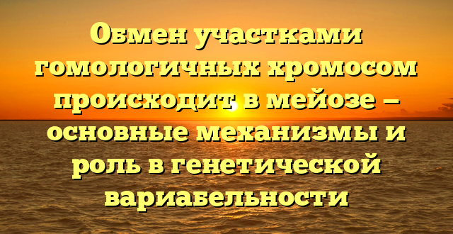 Обмен участками гомологичных хромосом происходит в мейозе — основные механизмы и роль в генетической вариабельности