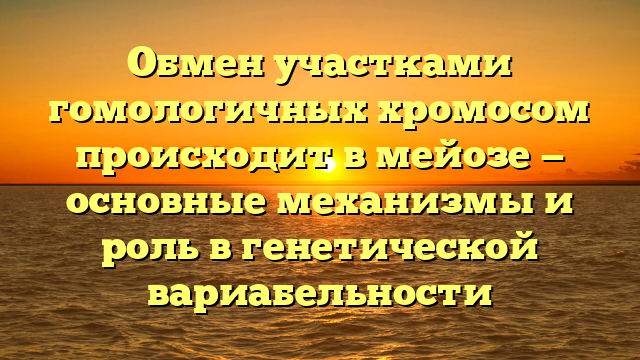 Обмен участками гомологичных хромосом происходит в мейозе — основные механизмы и роль в генетической вариабельности