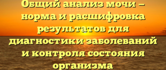 Общий анализ мочи — норма и расшифровка результатов для диагностики заболеваний и контроля состояния организма