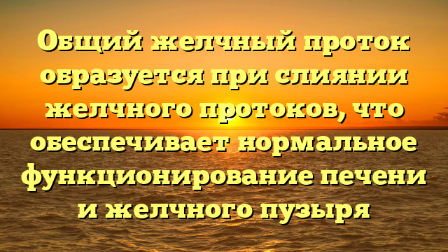 Общий желчный проток образуется при слиянии желчного протоков, что обеспечивает нормальное функционирование печени и желчного пузыря