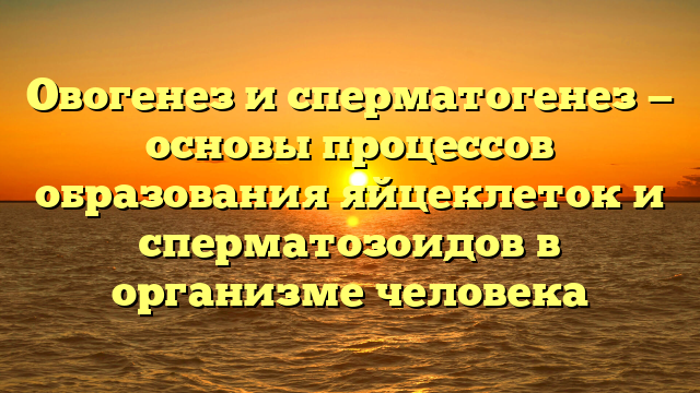 Овогенез и сперматогенез — основы процессов образования яйцеклеток и сперматозоидов в организме человека