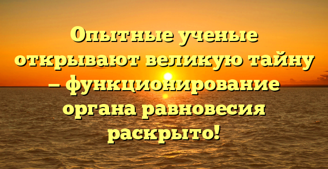 Опытные ученые открывают великую тайну — функционирование органа равновесия раскрыто!