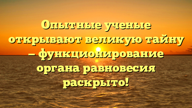 Опытные ученые открывают великую тайну — функционирование органа равновесия раскрыто!